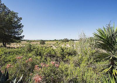 Formentera_San_Ferran_Casita_Alex (6)