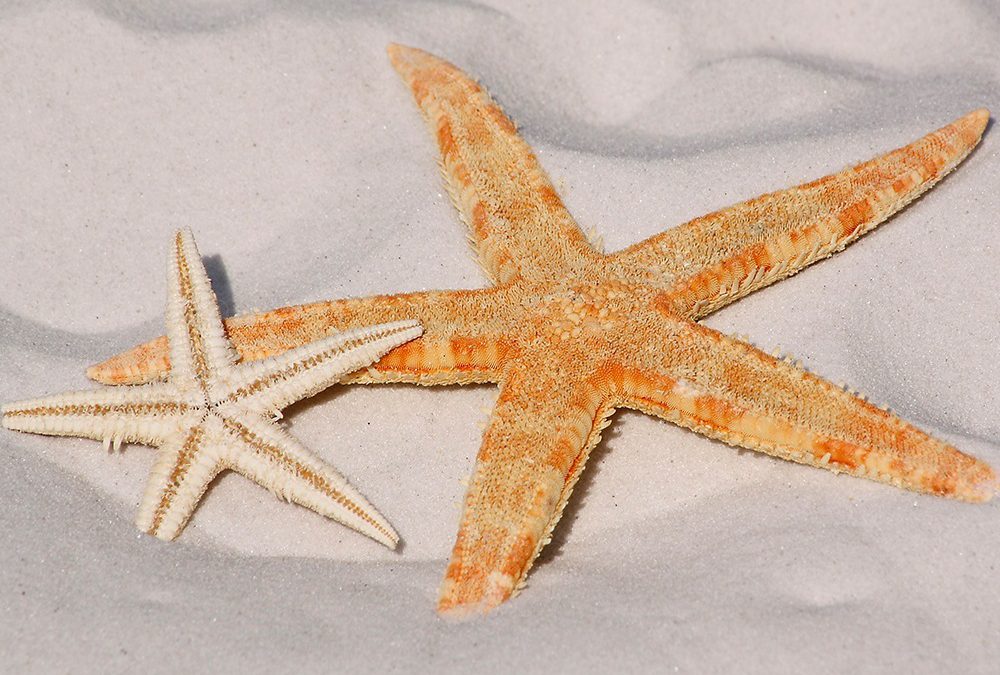 Case & Vacanze Formentera